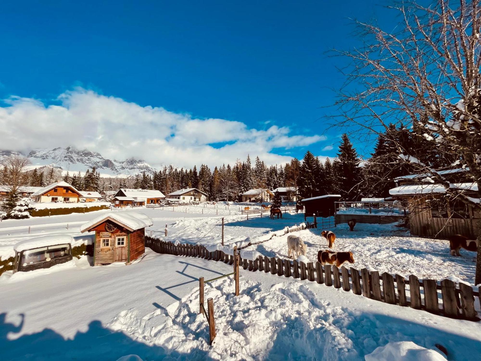 Pension Vorberghof- Bauernhofurlaub Ramsau am Dachstein Luaran gambar